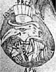 Peckerwood